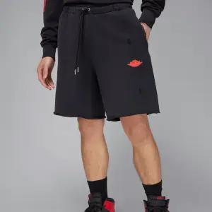 [국내매장] /남성반바지/에어 조던 레어 에어(IF1411-010)/EV