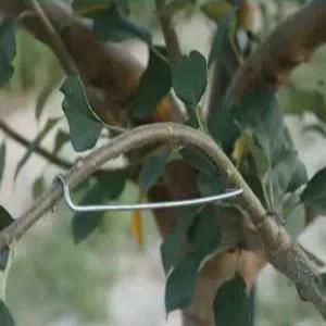 가지유인 사과나무 유인추 샤프트 고정 원예 이클립  기구 개선형