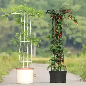 장미 오벨리스크 지지대 울타리 그린 화분 정원 아치