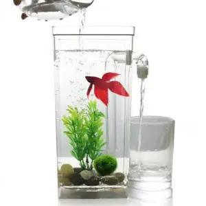 해수어 구피 베타 키우기 자동 금붕어 어항 청소 물멍