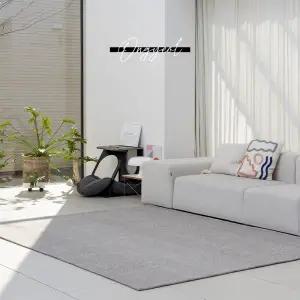 온결 워셔블 먼지없는 사계절 거실 카페트 러그