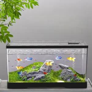 사육장 초대형 대형 달팽이집 곤충 키우기 세트 중형 30 뚜껑미포함 30x18x18