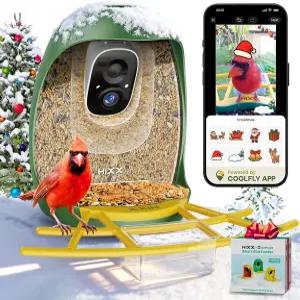 카메라 HIXX 스마트 버드 피더 AI 식별 새 및 자동 캡처 컬러 나이트 비전 2K HD 라이브 버드워칭 애호가
