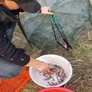 접이식 낚시 뜰채 그물망 바다 새우 통발 물고기 잡이 통발망