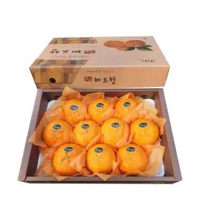 제주 서귀포 레드향 3kg 선물용