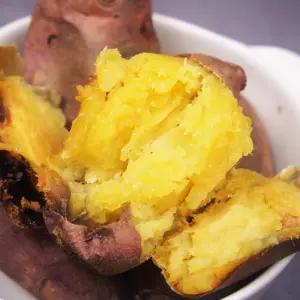 해남 꿀고구마 고구마 못난이 10kg (사이즈혼합)