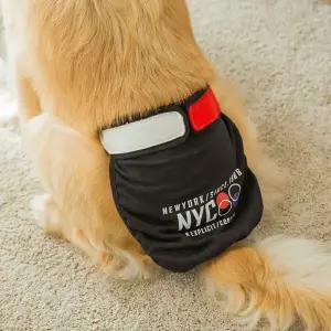 대형견 리트리버 보더콜리팬티 속옷 배변 반려견