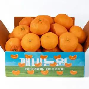 깨비농원 [알뜰코너] 어글리 레드향 4kg