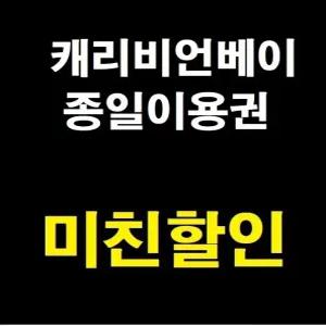 [당일가능문자전송]캐리비안베이 종일권 로시즌