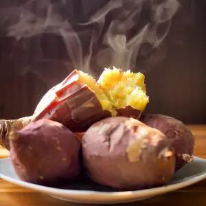 [G] 산지직송 꿀고구마 10kg 못난이