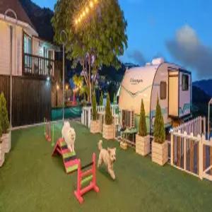 [경기/가평] 가평 동반84 글램핑&풀빌라 카라반 펜션 (픽업가능/계곡인접/섬/수목원/휴양림/스파/개별바베큐/애견수영장/카라반/캠핑/글램핑/일출/일몰/가족/커플/주차장/풀빌라/흡연구역(지정장소)/애견)