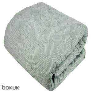 보국 전기요 1인용 2인용 전기매트 BKB-2604S BKB-2604D 거실 침대 자취방 휴대용 텐트