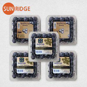 직수입 고당도 칠레 생 블루베리 125g 5팩 (4+1)