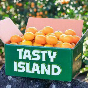 [서귀포산] 새콤달콤 제주 노지감귤 4.5kg /실중량 발송