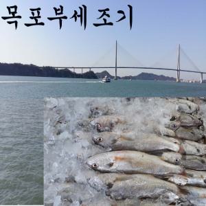 부세조기 5 마리 국산 목포부세조기(백조기)