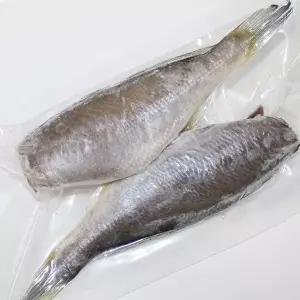 참조기 두절조기 12마리