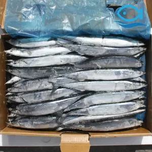 바다해 도매 꽁치 1번 업소용 냉동 꽁치 구이 찜 찌개 생선구이