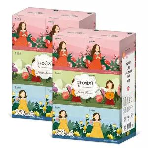 [한예지] 캐릭터 미니 미용티슈 250매 x 12입