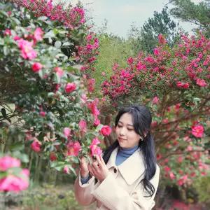 [제주] 상효원 입장권/제주도/수목원/식물원/축제/꽃/공원/핑크뮬리/동백