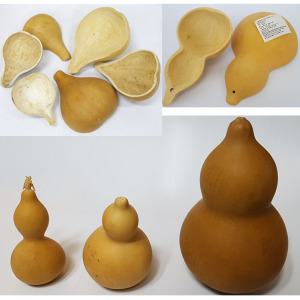 조롱박/표주박 천연 박바가지 민속용품 장식 인테리어소품 공예재료 DIY