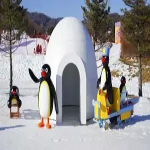 [강원] 당일특가 휘닉스 리조트 평창(강원호텔/평창호텔)