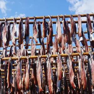 [포항 구룡포 햇과메기철] 완전손질과메기 20마리40쪽