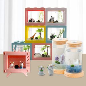 세남자바스켓 국산 마리모 키우기 어항 DIY세트 마리모 키우기 키트