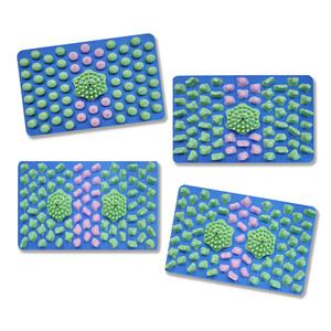 헬스원 MFM-400 발지압매트 자갈마당 지압판 발마사지 지압기