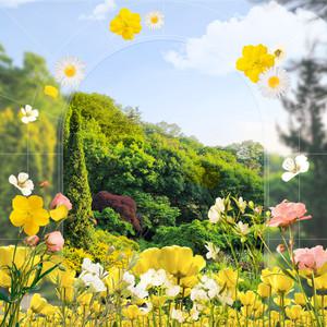 [경기] 용인 한택식물원 단독상품 식물원 경기 여행 자연생태원 수목원 암석원