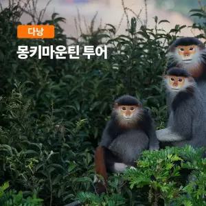 [다낭] 고스트트래블 커피클래스&몽키마운틴 투어