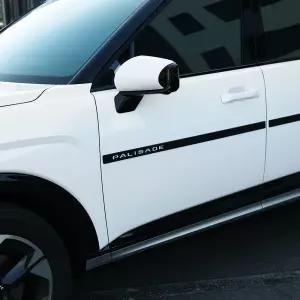2025 신형 팰리세이드 LX3 도어 가드 문콕 충격 방지 차 패드