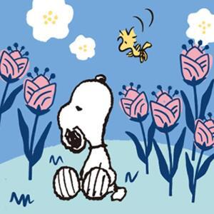[JH4P0274_51AJ]그리기 페인팅 피너츠 스누피 꽃향기 25X25