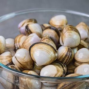 국내산 동죽 조개 1kg 80미 내외