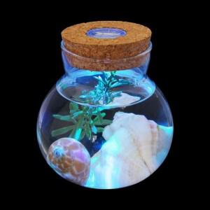 마리모 키우기 LED 코르크 유리병 (10x11cm)