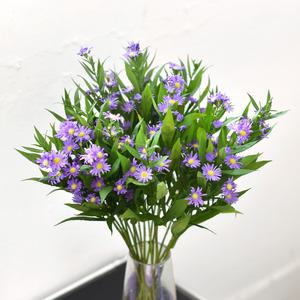 마이플랜트 생화 공작초 번들 한단 보라색꽃 꽃선물 화병 포장 경매 꽃배달 정기구독