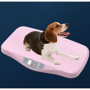 강아지체중계 반려동물 저울 대형견 측정 화이트 전자