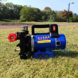 농업용 펌프 전동 휴대용 농약 세차 충전식 고압 자동 분무기12V