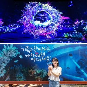 [제주] 노형수퍼마켓+서귀포잠수함 승선권 / 실내관광지 미디어아트 유람선 잠수함