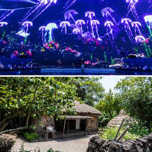 [제주] 노형수퍼마켓+제주민속촌 입장권 / 실내관광지 미디어아트