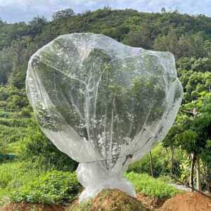 참새 그물망 블루베리 조류 애플수박망 울타리망 과일 작물 농작물보호