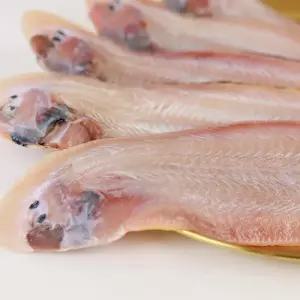 군산건조 진공포장 반건조 박대 5미 29-31cm