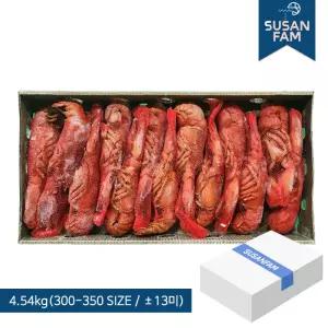 캐나다 자숙 랍스터 4.54kg 약13미(300/350) 바닷가재 랍스타