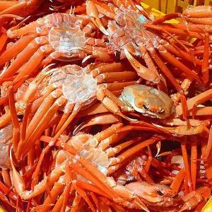 구룡포 자숙 박달홍게 3kg