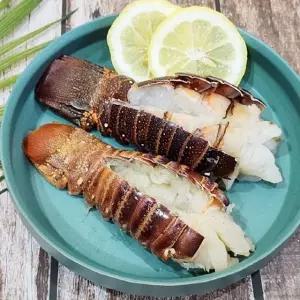 냉동 스파이니 랍스터 테일 2미