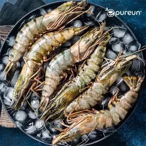 [이푸른] 블랙타이거 홍다리얼룩새우 대 500g+500g 총2팩(15미+15미)