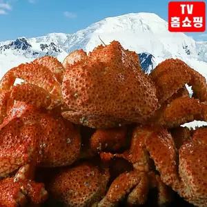 TV정품 한농식 스노우 레드크랩 400g x 3마리 집에서즐기는 킹크랩