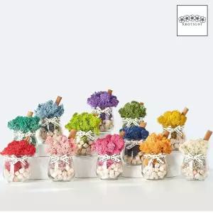 스칸디아모스 화분 편백나무 시나몬스틱 세트 천연이끼 공기정화실물 꽃병 2p