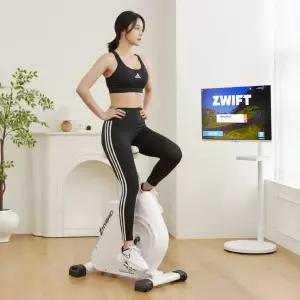 은성헬스빌 지브리드 Zhybrid 실내자전거 사이클 미니 바이크 입식 좌식 하이브리드