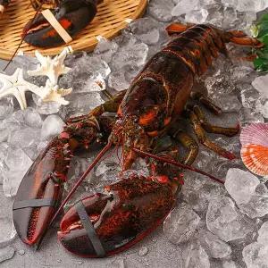 수율보장 항공직송 활랍스터 850내외 x 2마리