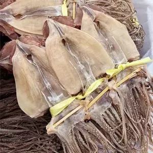 물맛남 국내산 영덕 마른오징어 중 20마리 1kg내외